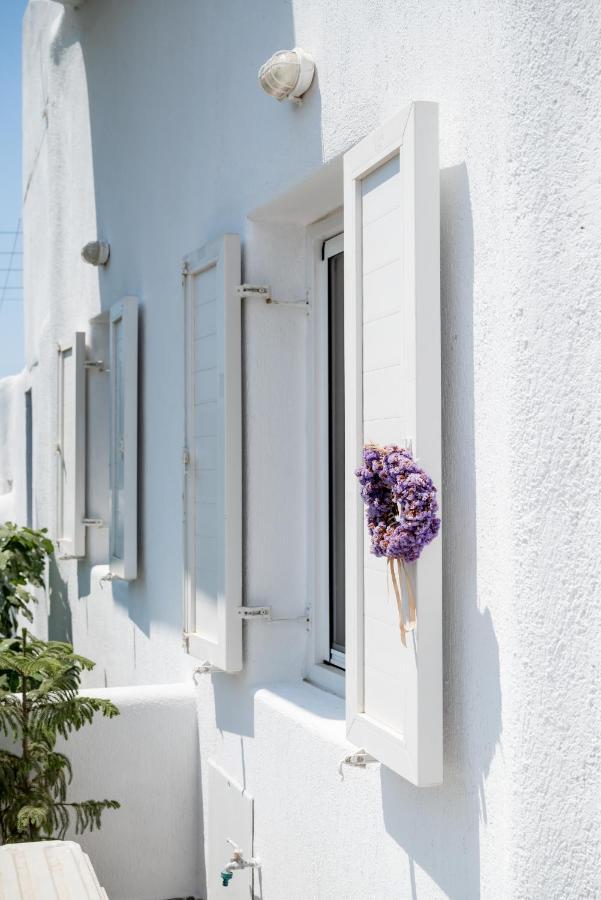 Spilia Apartments & Suites Mykonos Agrari  Exteriér fotografie